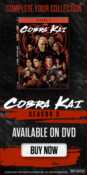 300x600 Cobra Kai: Season 5 Ad Banner