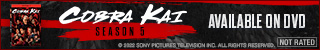 320x50 Cobra Kai: Season 5 Ad Banner