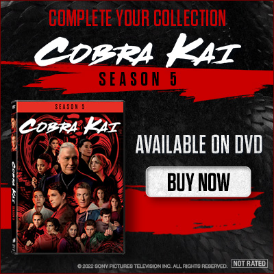 400x400 Cobra Kai: Season 5 Ad Banner