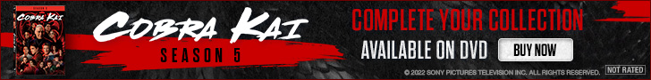 728x90 Cobra Kai: Season 5 Ad Banner