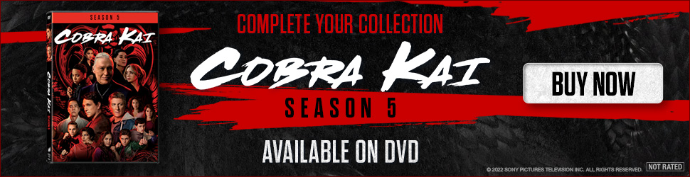 970x250 Cobra Kai: Season 5 Ad Banner